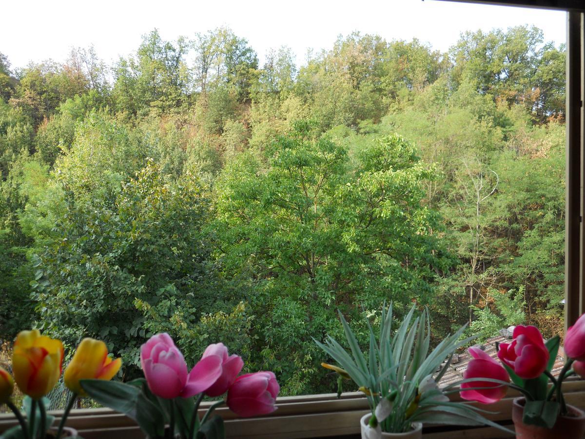 Casa Clotilde Bed & Breakfast Stazzano Exterior foto